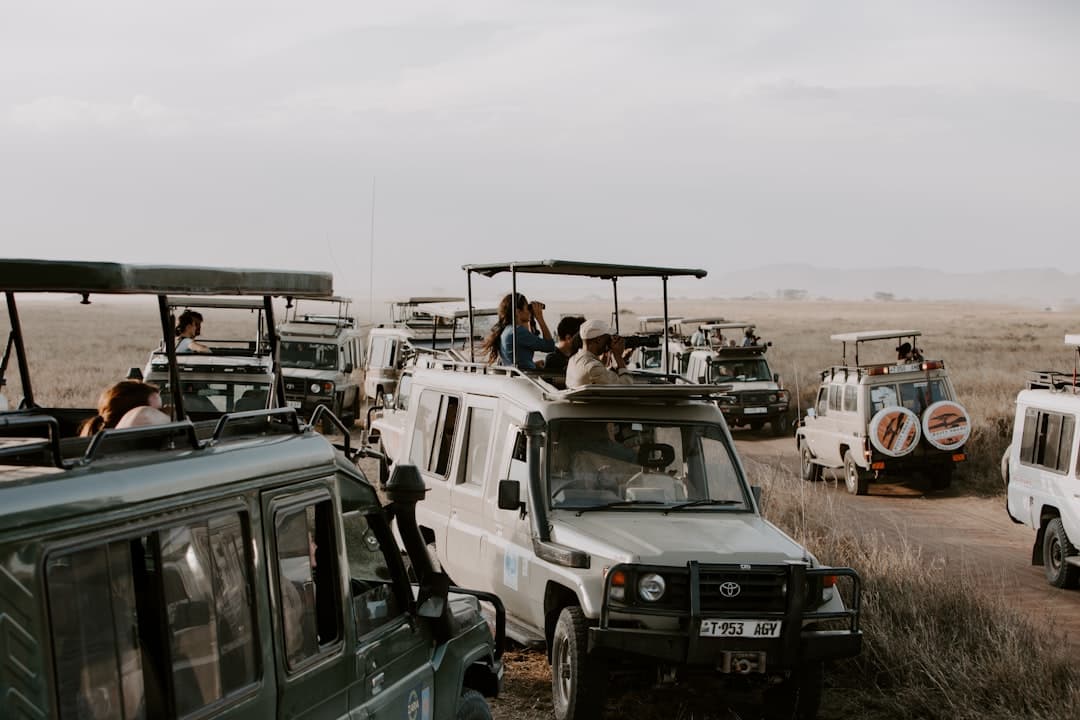 Safari Types